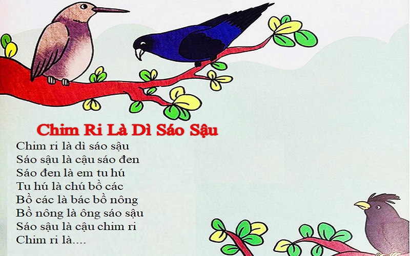 Chim ri là dì sáo sậu