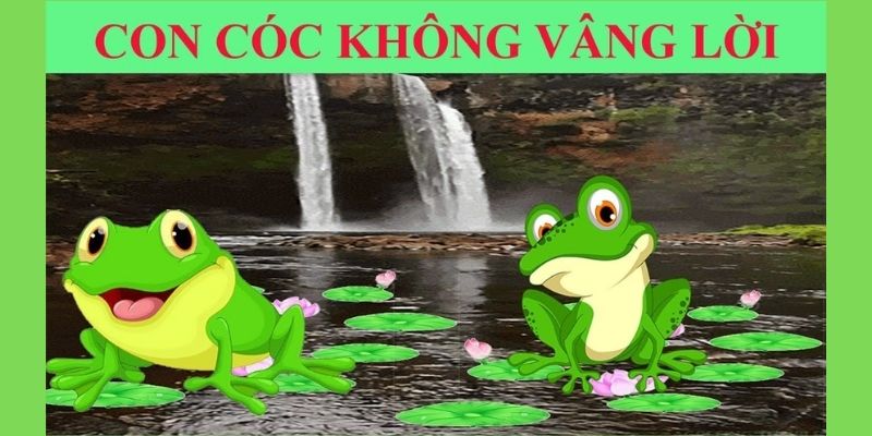 con cóc không vâng lời