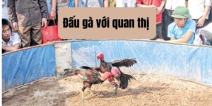 Truyện dân gian: Đấu gà với quan thị