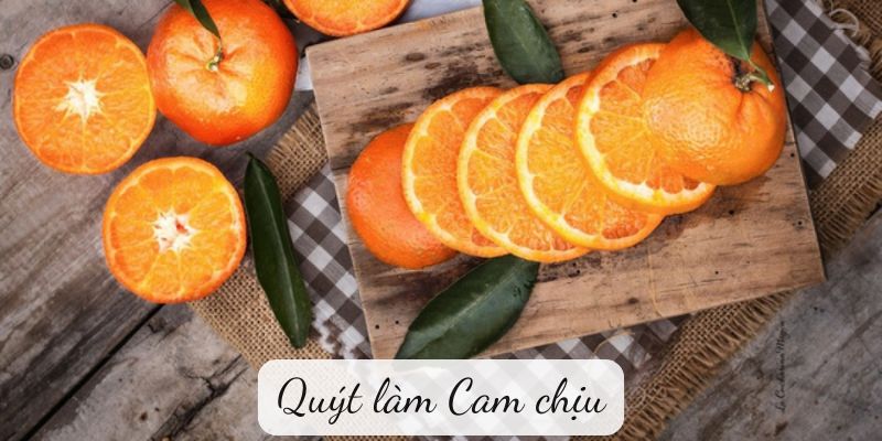 Quýt làm Cam chịu