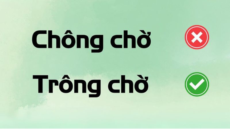 trông chờ hay chông chờ