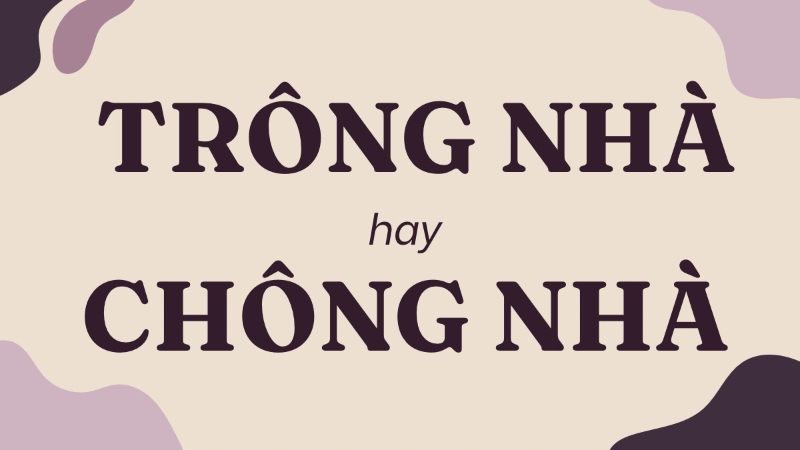 trông nhà hay chông nhà